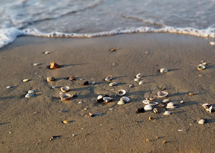 Lovely Flat With Shared Pool - Beahost Apartment *